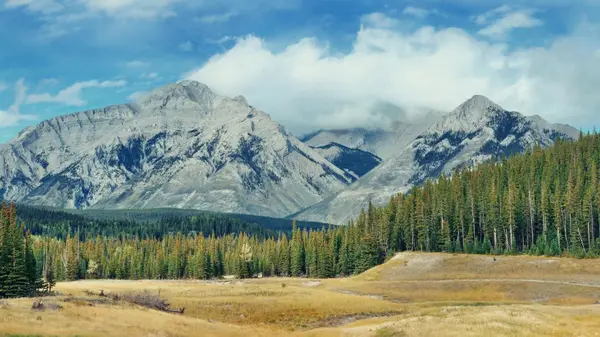 Top 3 Mistakes to Avoid When Buying Land in Colorado