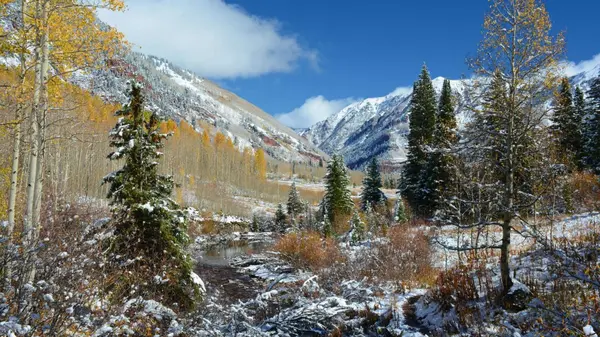 How to Compete as a Buyer in Today’s Colorado Springs Market