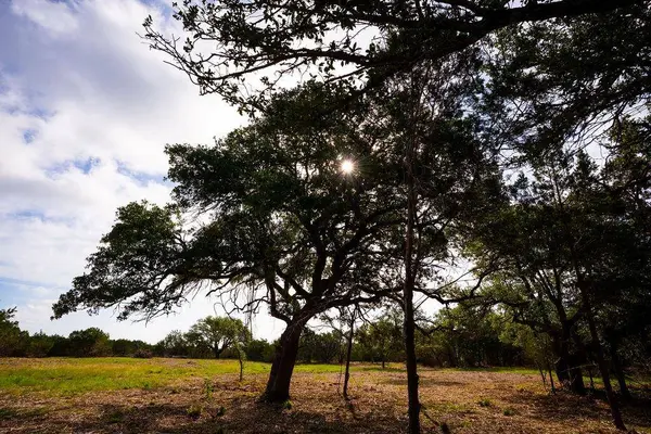 TBD Gatlin Creek RD, Dripping Springs, TX 78620