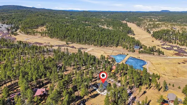 22513 Deer Meadow Dr, Lead, SD 57732