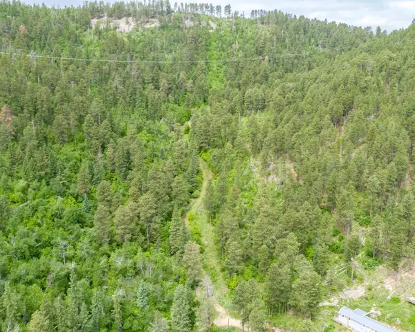 Burno Gulch Road, Spearfish, SD 57783