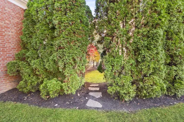 6940 Clivdon Mews, New Albany, OH 43054