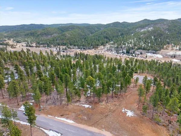 Meadow Wood Way, Lead, SD 57754