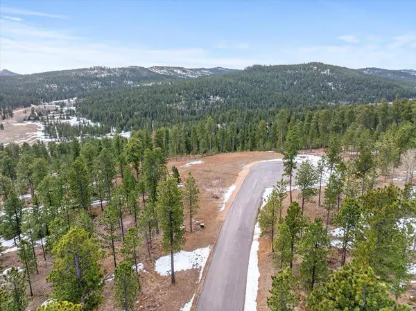 Meadow Wood Way, Lead, SD 57754
