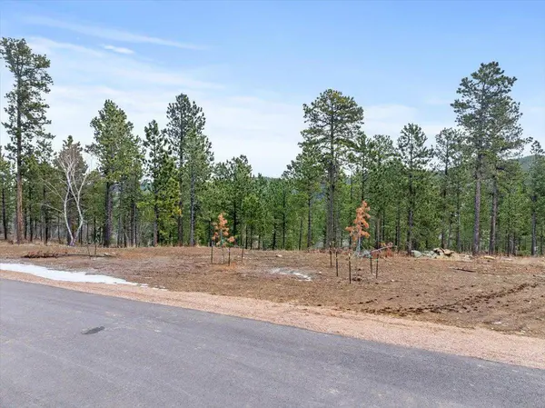 Meadow Wood Way, Lead, SD 57754