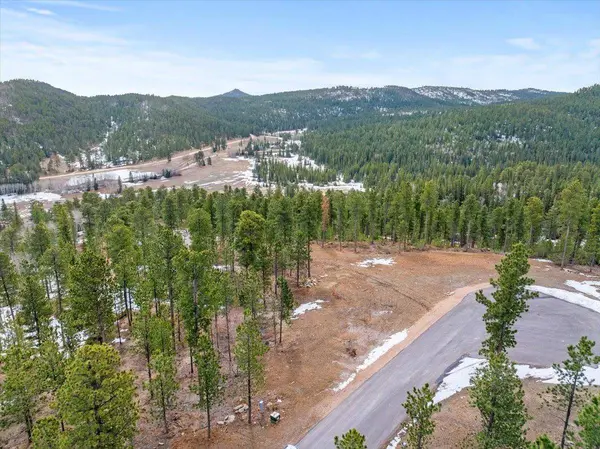 Meadow Wood Way, Lead, SD 57754