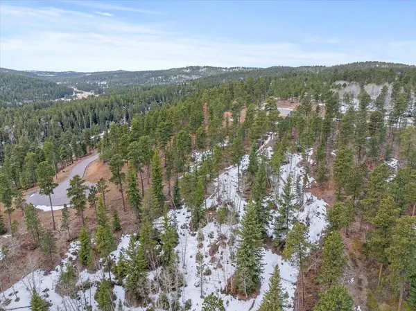Meadow Wood Way, Lead, SD 57754