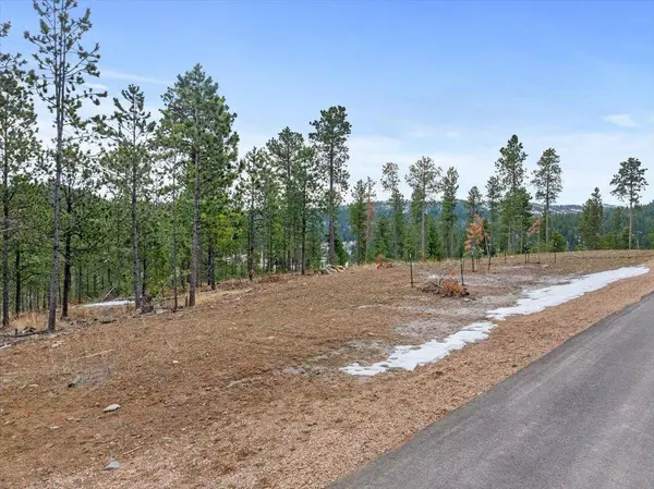 Meadow Wood Way, Lead, SD 57754