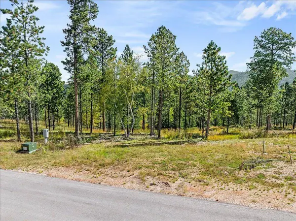 Meadow Wood Way, Lead, SD 57754