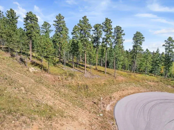 Meadow Wood Way, Lead, SD 57754