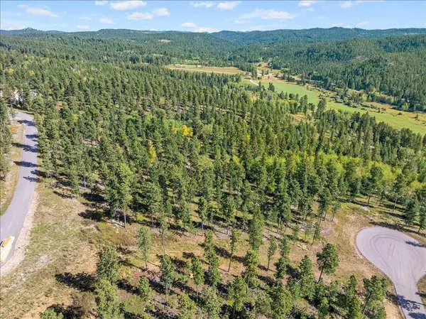 Meadow Wood Way, Lead, SD 57754