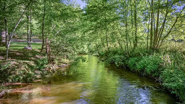 390 Sunny Brook Road, Blue Ridge, GA 30513