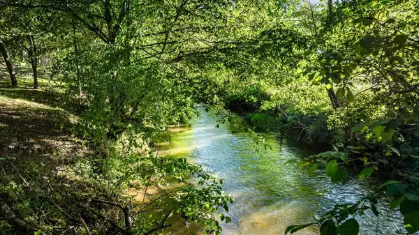 390 Sunny Brook Road, Blue Ridge, GA 30513