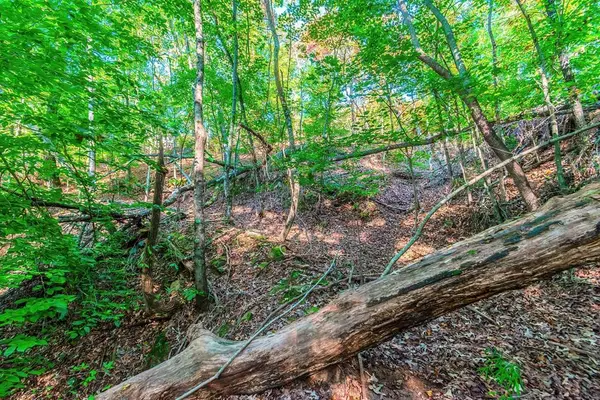 Lot 50 Jakes Landing Way, Ellijay, GA 30540