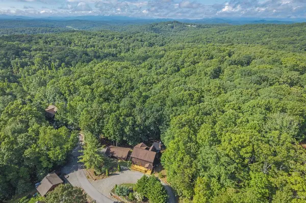 72 Gibbs Trail, Mineral Bluff, GA 30559