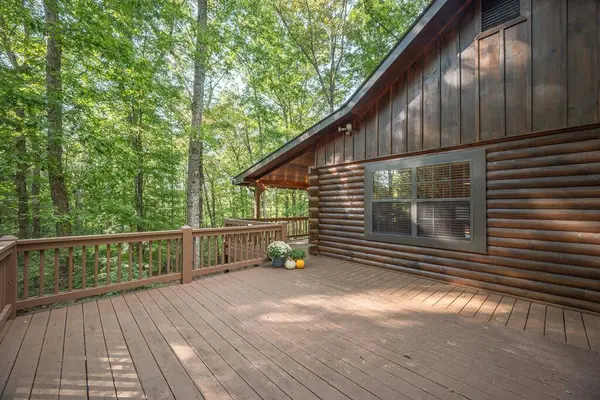 157 Sunrise Lane, Blue Ridge, GA 30513