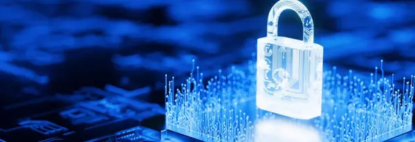 Keeping Your Financial Data Safe