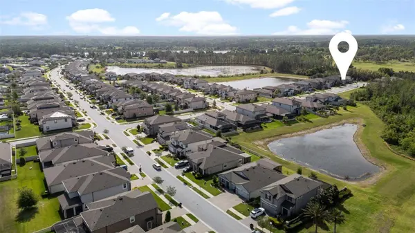 1536 LEAF FLOWER LN, Lutz, FL 33558