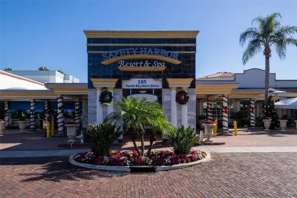 244 IRON AGE ST, Safety Harbor, FL 34695