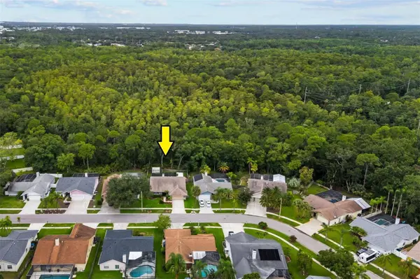 11910 STEPPINGSTONE BLVD BLVD, Tampa, FL 33635