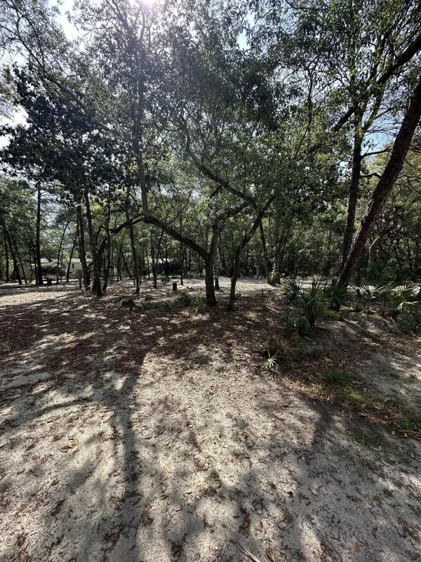 xx Turquoise Beach Drive, Santa Rosa Beach, FL 32459