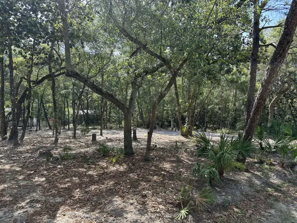 xx Turquoise Beach Drive, Santa Rosa Beach, FL 32459