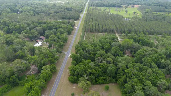 xx Jack Crum Road, Crawfordville, FL 32327