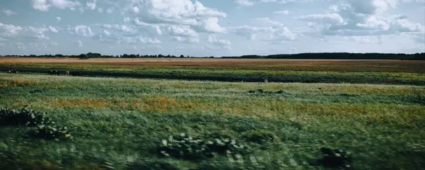 aleksey-parakhnevich-6Y4mv-htE6E-unsplash