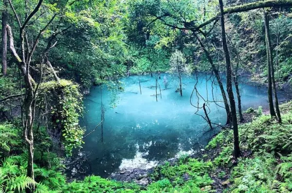 15 Fun Things to Do in Gainesville, FL