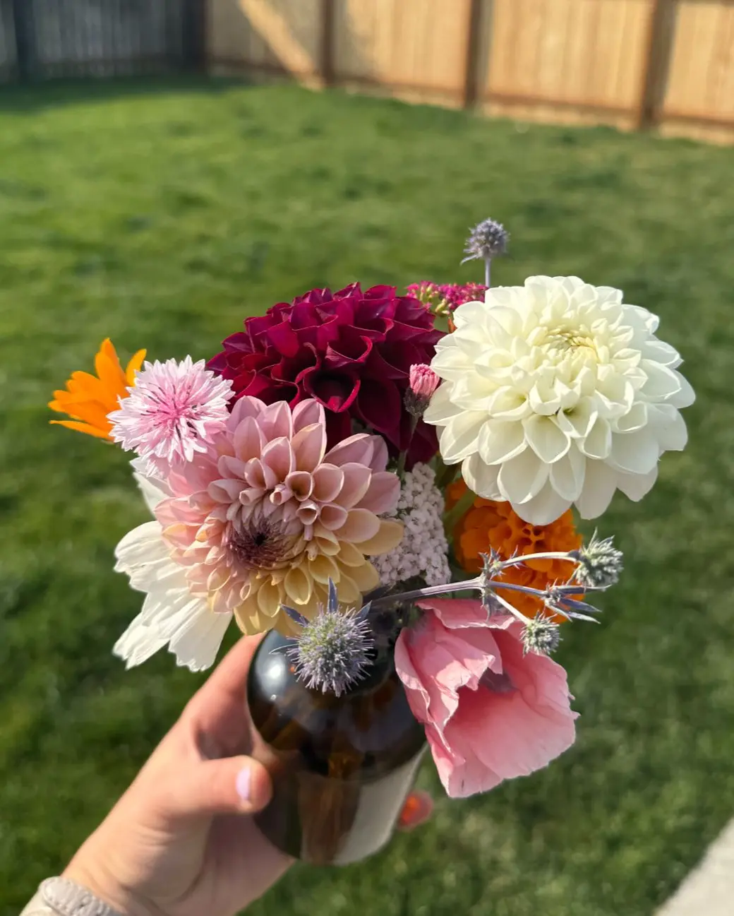 Gardening in SW Montana - What to Plant This Season