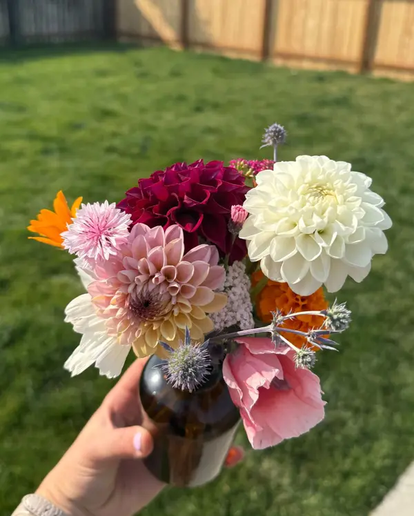 feature image of Gardening in SW Montana - What to Plant This Season