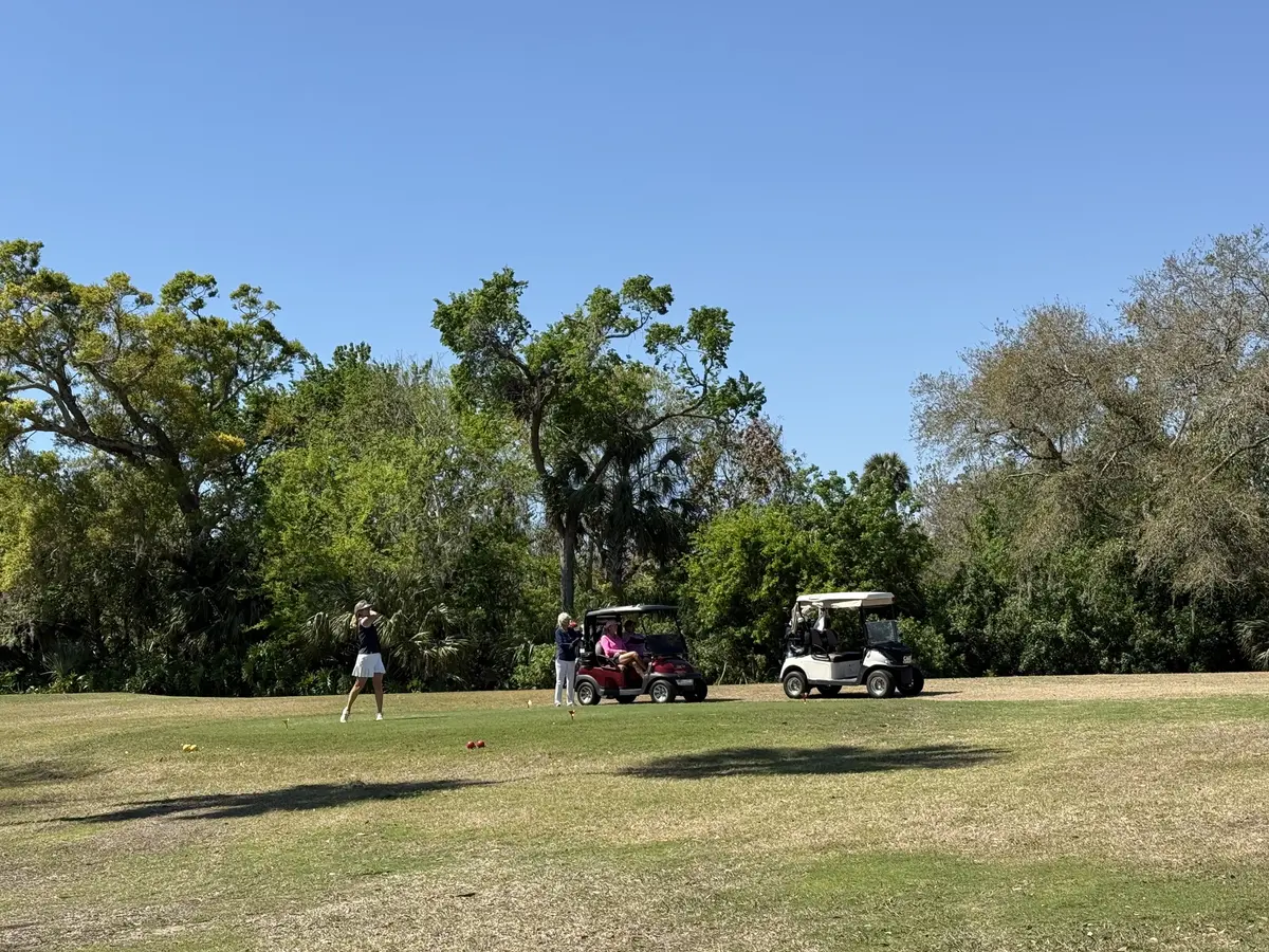 55