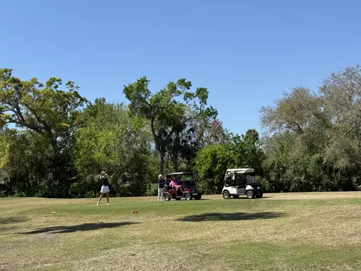 55