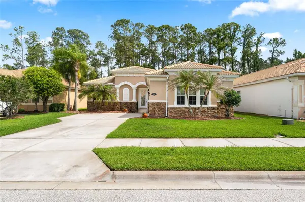 3455 PEGASO AVE, New Smyrna Beach, FL 32168