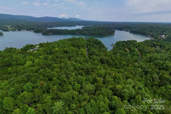 377 Harborside DR #245, Nebo, NC 28761