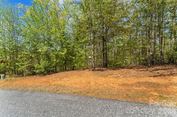 1006 High Trail DR #32-11, Nebo, NC 28761