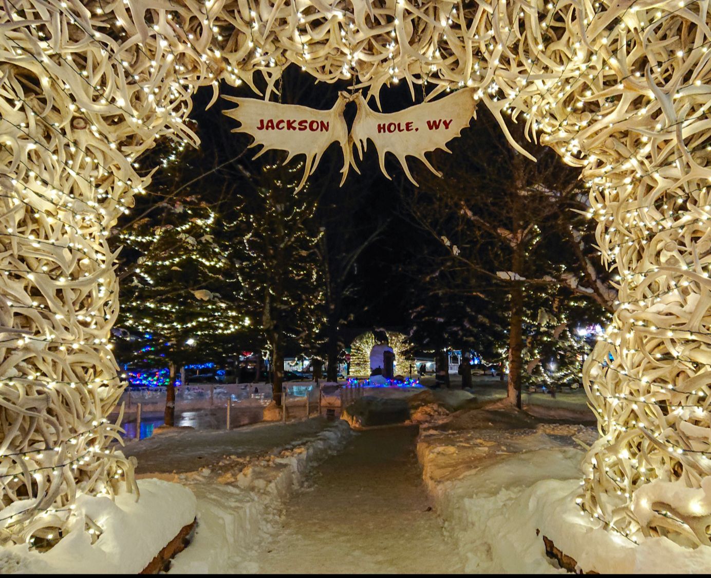 Jackson Hole 