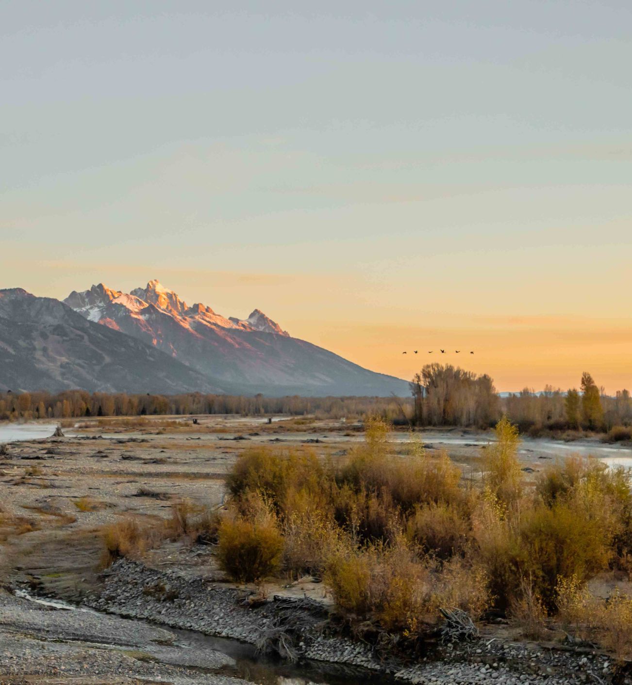 Wilson Wyoming Real Estate 