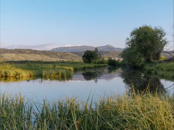 Teton Valley Real Estate