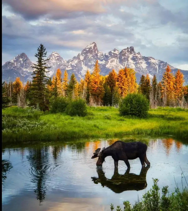 Jackson Hole Wyoming Real Estate