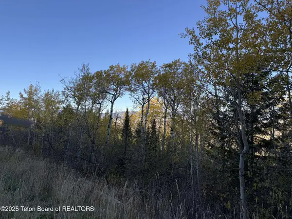 2880 SORENSEN, Victor, ID 83455