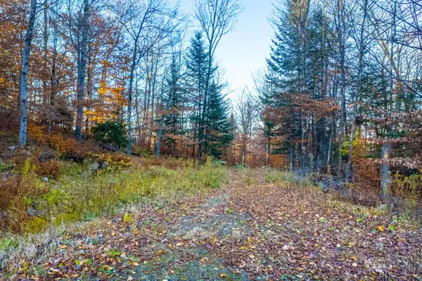Lot 7 Hawk Ridge, Hawk Lane, Saranac Lake, NY 12983