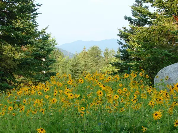 7 Whiteface Inn LN #127, int 9, Lake Placid, NY 12946