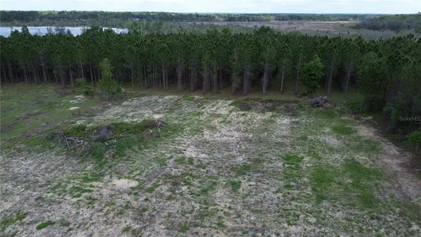 16865 SE 27TH PLACE RD, Ocklawaha, FL 32179