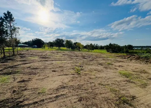 16865 SE 27TH PLACE RD, Ocklawaha, FL 32179
