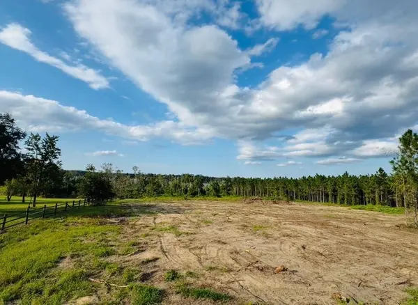 16865 SE 27TH PLACE RD, Ocklawaha, FL 32179