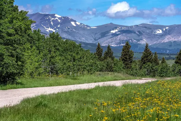 NHN Heart Butte Cutoff RD, East Glacier Park, MT 59434