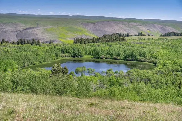 NHN Heart Butte Cutoff RD, East Glacier Park, MT 59434