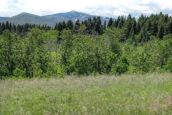 NHN Heart Butte Cutoff RD, East Glacier Park, MT 59434