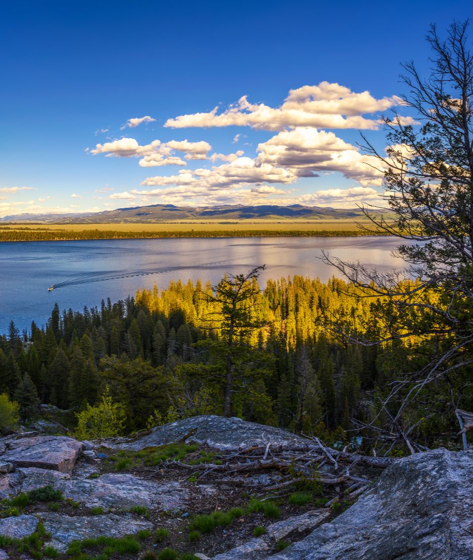 Jackson Hole Real Estate